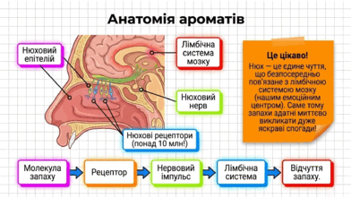 090267s6-4816-392x221.png