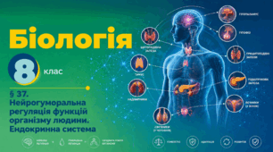 Нейрогуморальна регуляція функцій організму людини. Ендокринна система. Презентація, інфографіка, робочий аркуш