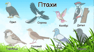 Інтерактивний шаблон гри на липучках “Птахи”