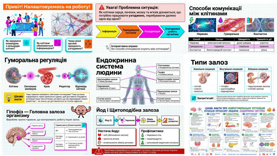 090267y1-0d96-940x529.png