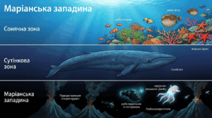 Таємниці підводного царства (пдф+презентація+тест)