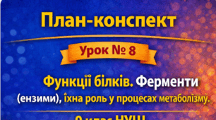 План-конспект 📝Урок №8 Функції білків. Ферменти (ензими), їхня роль у процесах метаболізму. 9 клас НУШ (за програмою П. Балана, О. Кулініч); за підручником (автори: П. Балан, О. Козленко)