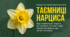Нарциси, фемінізм і досягнення медичної науки