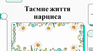 Нарциси, фемінізм і досягнення медичної науки