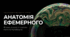 Фізика, історія та алхімія бульної бульбальшки