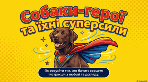 Життя без бар'єрів: тренування та догляд за особливими собаками