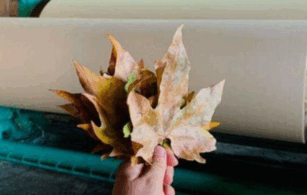 09026dez-0438-307x195.png