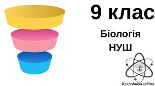 Рівні організації живого 