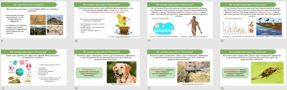 09026dyw-0152-940x296.png