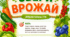 Дидактична гра "Збери врожай"