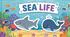 Комплект  "Sea Life" (Морське життя) для дошкільнят