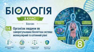 Організм людини як саморегульована біологічна система: молекулярний та клітинний рівні. Презентація, інфографіка, робочий аркуш