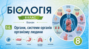 Органи, системи органів організму людини. Презентація, інфографіка, робочий аркуш