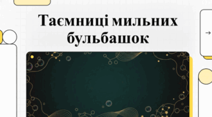 Фізика, історія та алхімія бульної бульбальшки