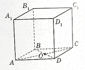 09026f9o-15ff-172x141.png