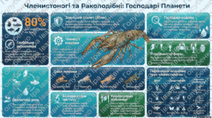 § 46. Членистоногі – безхребетні тварини із зовнішнім скелетом. Ракоподібні. Матеріали до уроку
