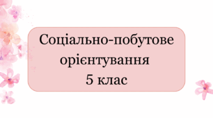 Календарне планування соціально-побутове орієнтування 5 клас інтелектуальні порушення 2 години на тиждень