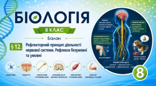 Рефлекторний принцип діяльності нервової системи. Рефлекси безумовні та умовні. Презентація, інфографіка, робочий аркуш