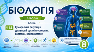 Гуморальна регуляція діяльності організму людини. Гормони, нейрогормони. Презентація, інфографіка, робочий аркуш