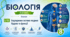 Ендокринна система людини: будова та функції. Презентація, інфографіка, робочий аркуш