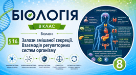 Залози змішаної секреції. Взаємодія регуляторних систем організму. Презентація, інфографіка, робочий аркуш