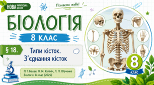 Типи кісток. З’єднання кісток. Презентація, інфографіка, робочий аркуш