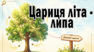 Презентація "Цариця літа - липа"