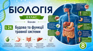 Будова та функції травної системи. Презентація, інфографіка, робочий аркуш