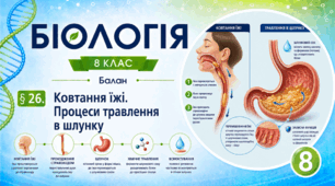 Ковтання їжі. Процеси травлення в шлунку. Презентація, інфографіка, робочий аркуш