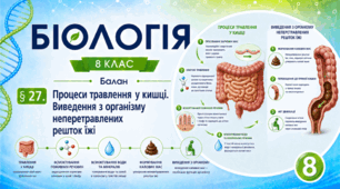 Процеси травлення у кишці. Виведення з організму неперетравлених решток їжі. Презентація, інфографіка, робочий аркуш