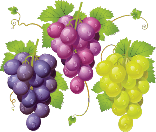 09026ib6-03c0-535x452.png