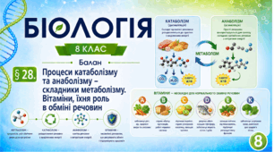 Процеси катаболізму та анаболізму - складники метаболізму. Вітаміни, їхня роль в обміні речовин. Презентація, інфографіка, робочий аркуш
