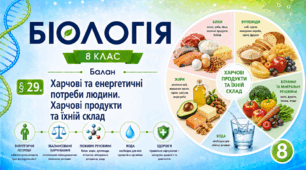 Харчові та енергетичні потреби людини. Харчові продукти та їхній склад. Презентація, інфографіка, робочий аркуш