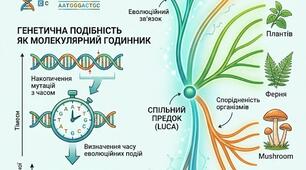 Принципи сучасної систематики