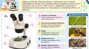 Будова стереомікроскопа