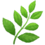 🌿