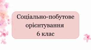 Календарне планування соціально-побутове орієнтування 6 клас інтелектуальні порушення 2 години на тиждень