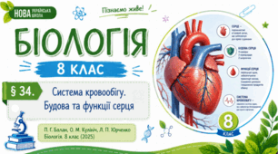 Система кровообігу. Будова та функції серця. Презентація, інфографіка, робочий аркуш