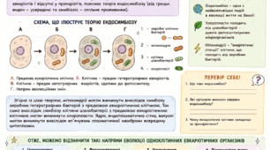 Як виникли евкаріотичні клітини