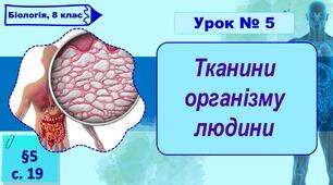 8 клас НУШ. Презентація до уроку з теми "Тканини організму людини"