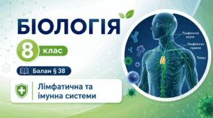 Лімфатична та імунна системи.Презентація, інфографіка, робочий аркуш