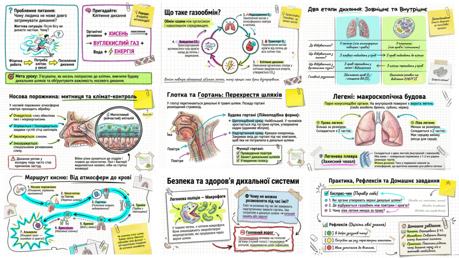 09026lob-400c-940x529.png