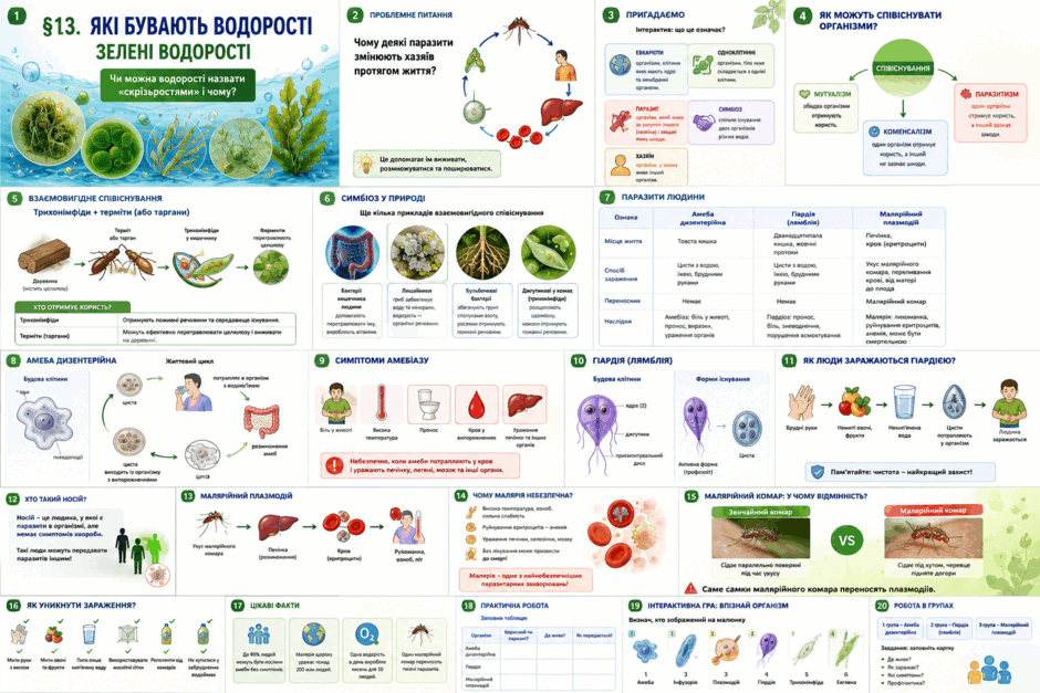 09026lsf-8995-940x627.png