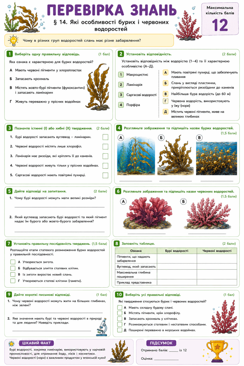 09026lwu-d677-940x1410.png