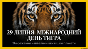 29 липня - Міжнародний день тигра