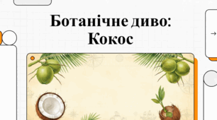 Усе про кокос: побутові лайфхаки, користь та цікаві факти