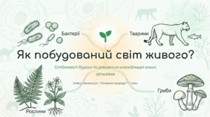 Особливості будови різних організмів