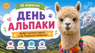 Презентація «День альпаки» -10 вересня
