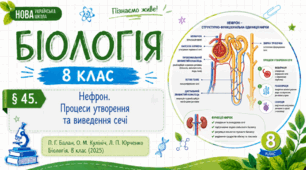 Процеси утворення та виведення сечі. Презентація, інфографіка, робочий аркуш