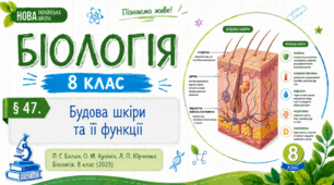 Будова шкіри та її функції. Презентація, інфографіка, робочий аркуш